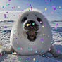 Ipk's avatar