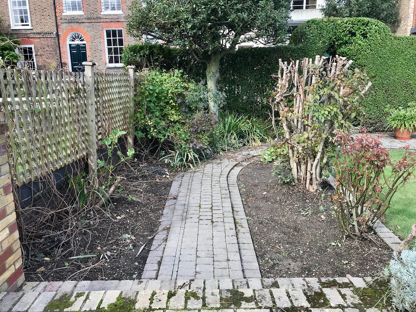 The before  image of a small garden design