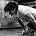 Jiu Jitsu Field Guides's avatar