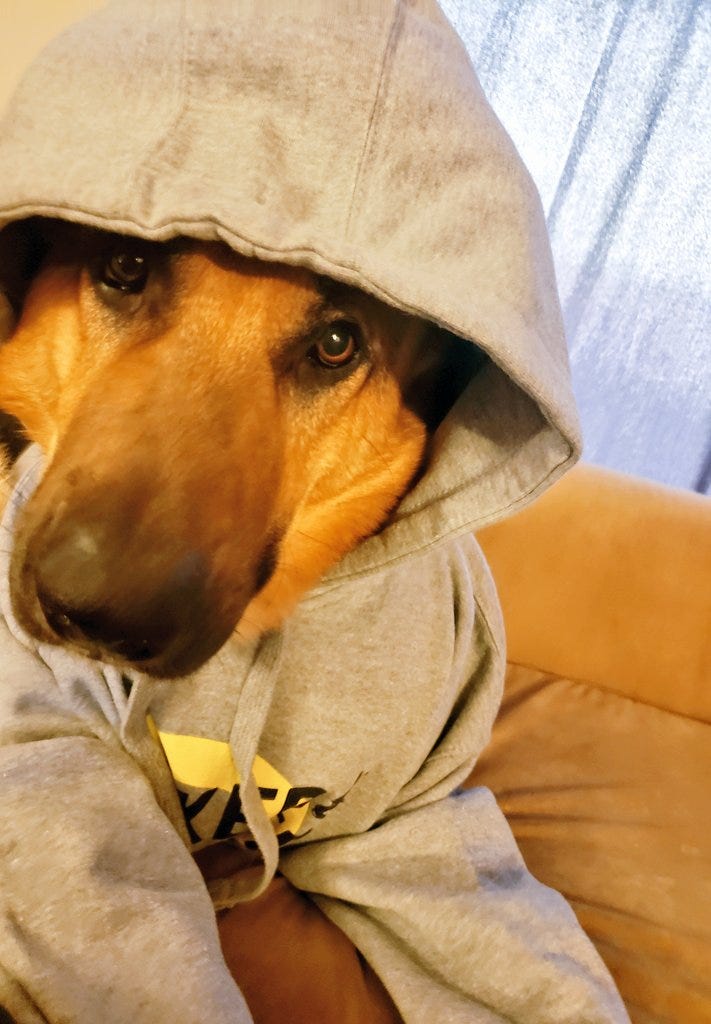 Artwork for Tactical Procrastination