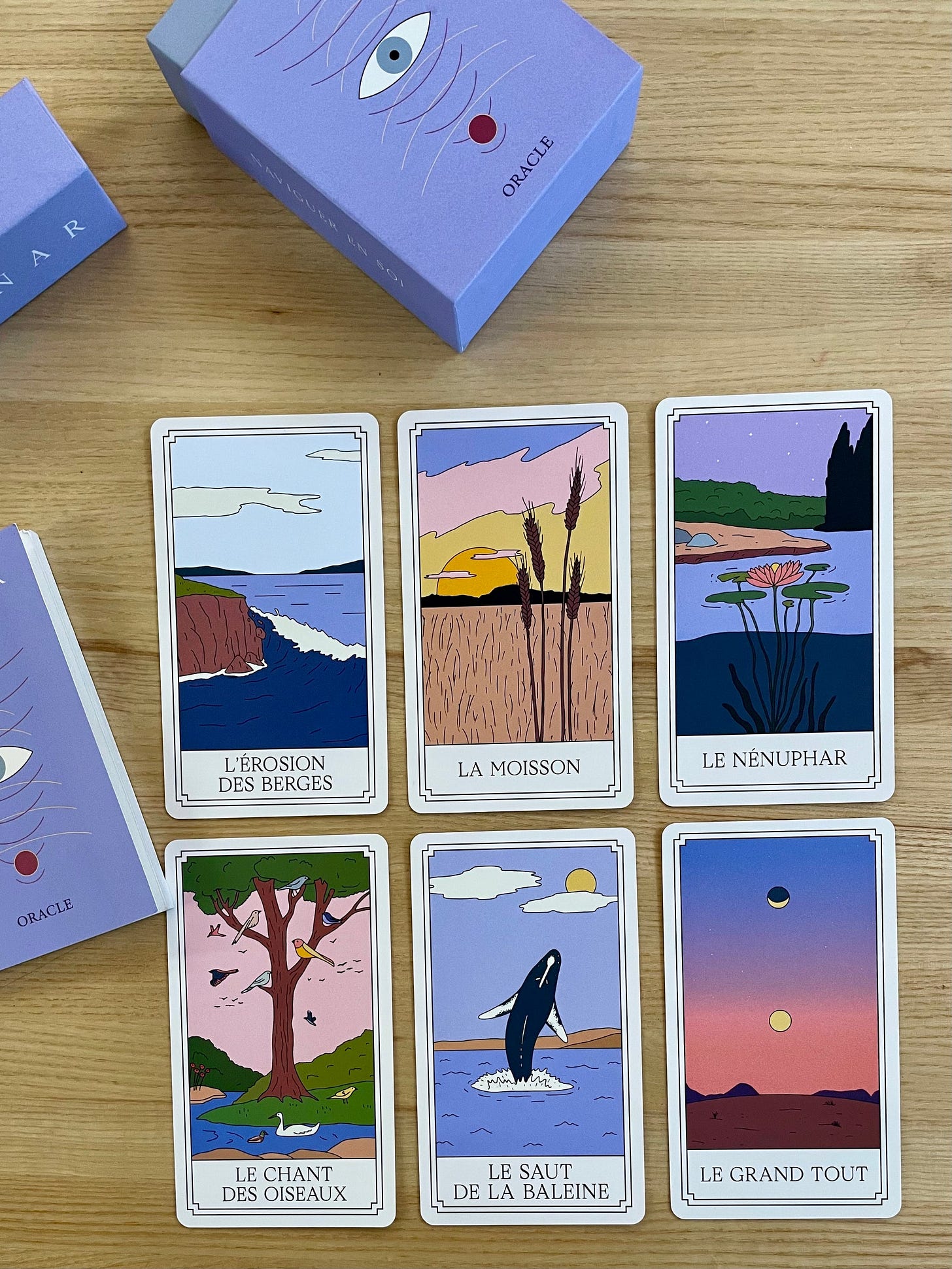 SONAR | Jeu introspectif | Éditions Cardinal