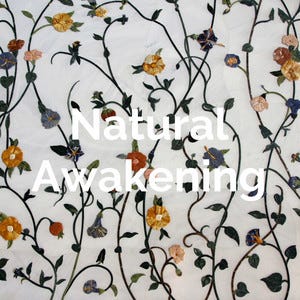 Natural Awakening | Podcast on Spotify Natural Awakening | Podcast on Spotify