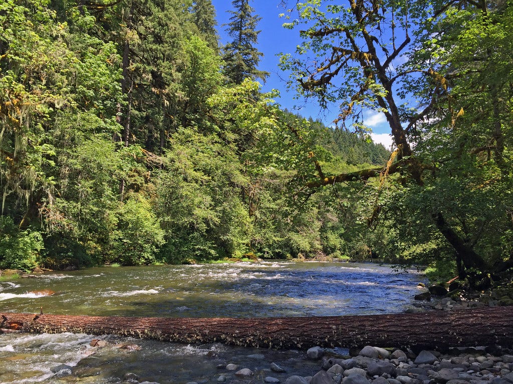Canyon Creek Recreation Site Canyon Creek Recreation Site