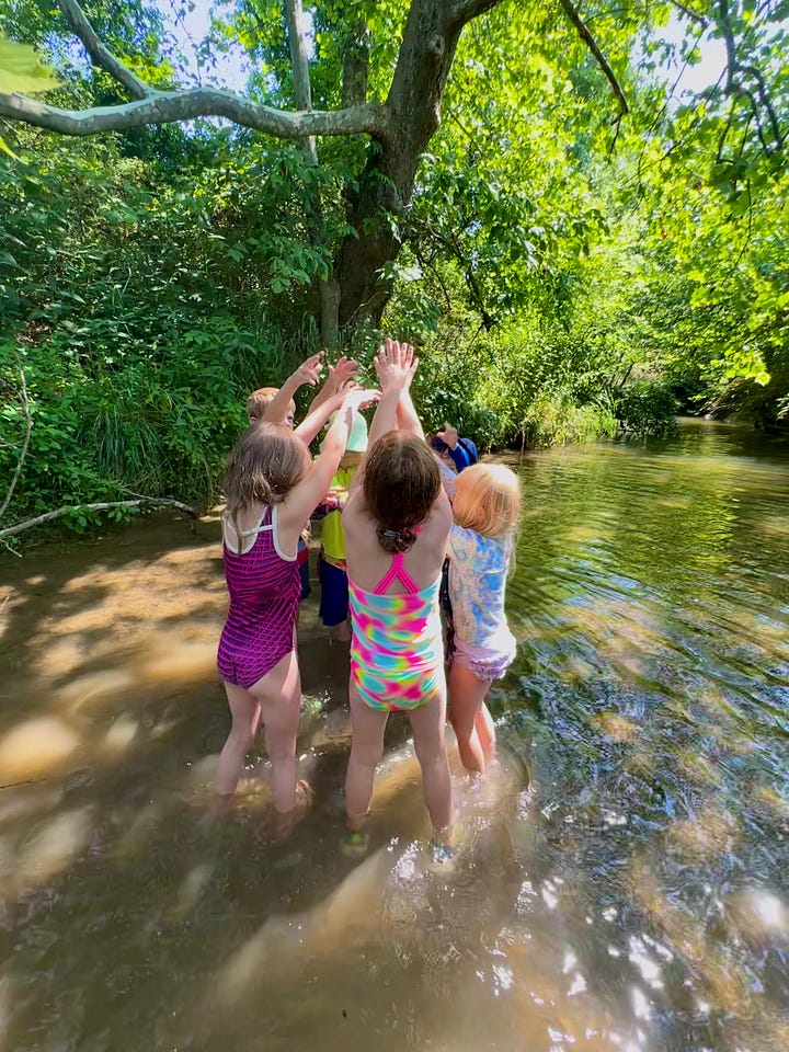 Choreography in the creek at our Dance & Nature Camp!