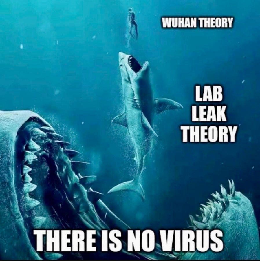 Ist möglicherweise ein Bild von Text „WUHANTHEORY WUHAN THEORY LAB LEAK THEORY THERE IS NO VIRUS“