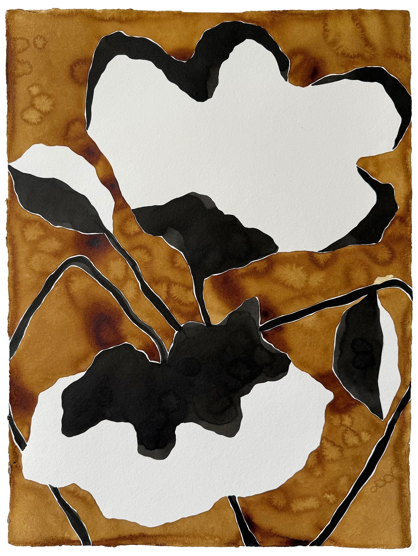 Kate Roebuck, Floral Three Tone, 2025. Watercolor and ink on handmade paper: white flower shapes and black leaves with fine outlines against a mottled ochre and amber ground. Kate Roebuck, Floral Three Tone, 2025. Watercolor and ink on handmade paper: white flower shapes and black leaves with fine outlines against a mottled ochre and amber ground.