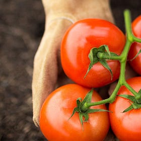 Why Food Access Is a Health Issue