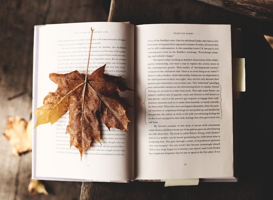 brown maple leaf on open book brown maple leaf on open book