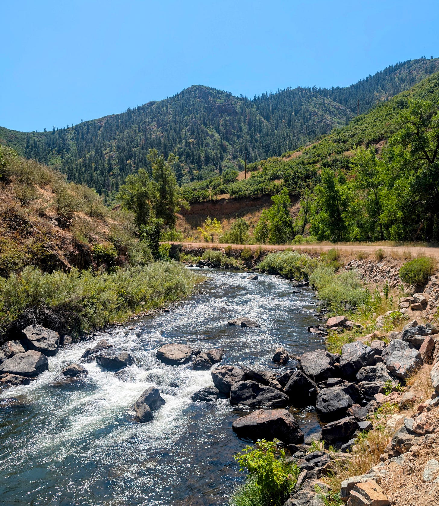 South Platte River flowing through Waterton Canyon on the Colorado Trail, framed by steep green hills and rocky banks under a clear blue sky.