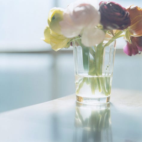 Fine art photograph by Japanese photographer Rinko Kawauchi.