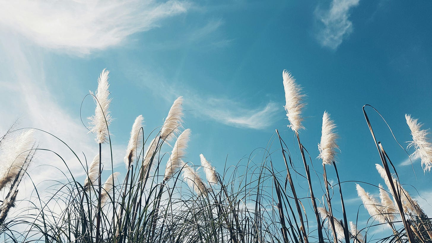 breathwork practice