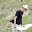 David McKenzie's avatar