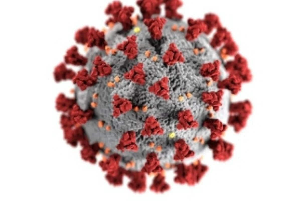 Exposure to SARS-CoV-2 Spike Protein Alone Enough to Damage Lungs: Study