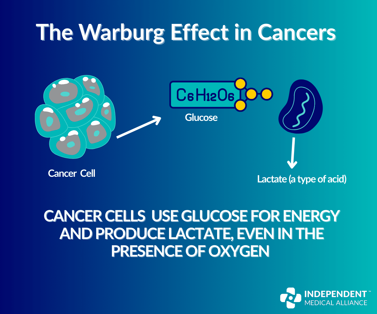 warburg effect in cancer a Warburg effect in cancer A