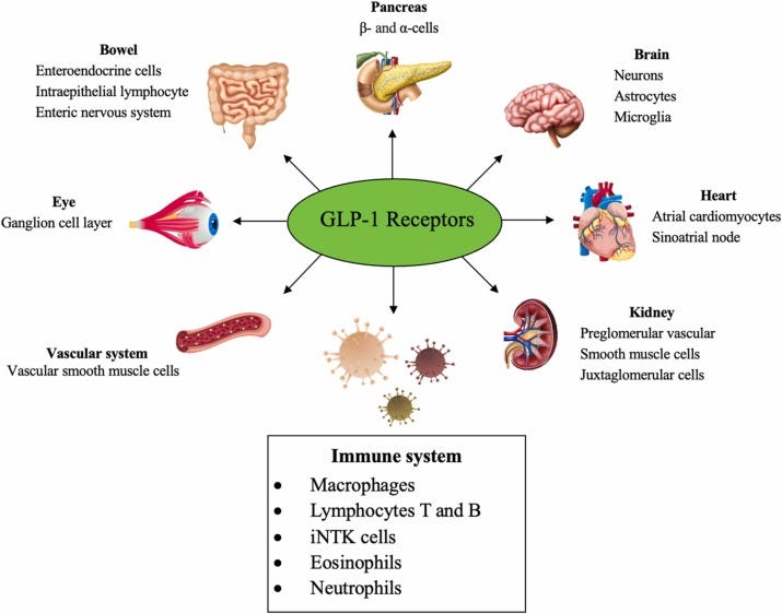 glp 1 and arthritis Glucagon-like peptide-1 receptor: mechanisms and advances in therapy