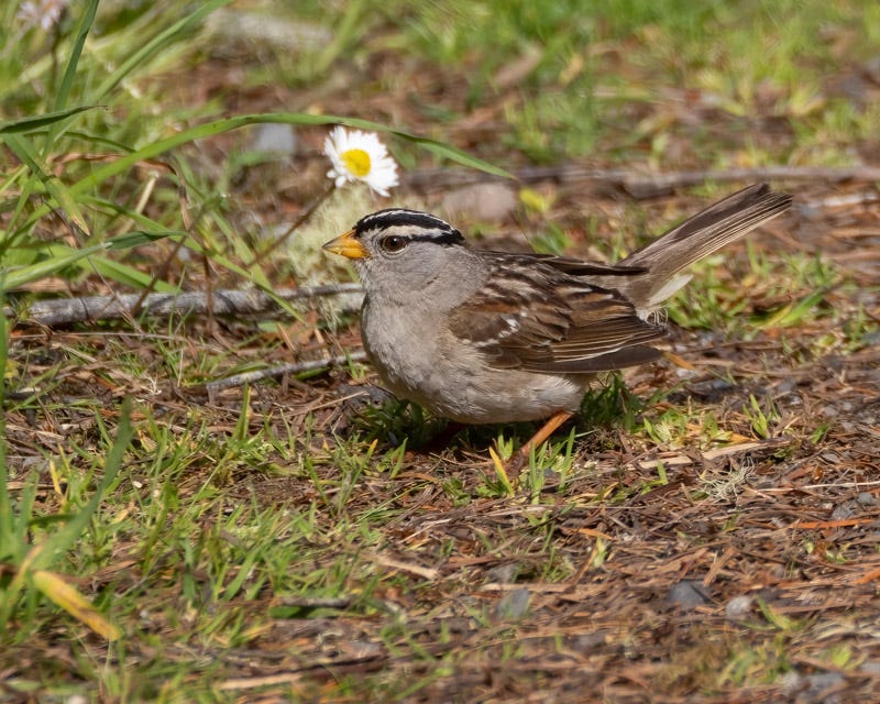 20250610-SJI-178-Edit.jpg 20250610-SJI-178-Edit.jpg