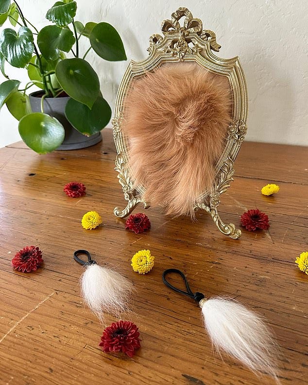 Pictured: A framed coat preservation of a dog Pictured: A framed coat preservation of a dog