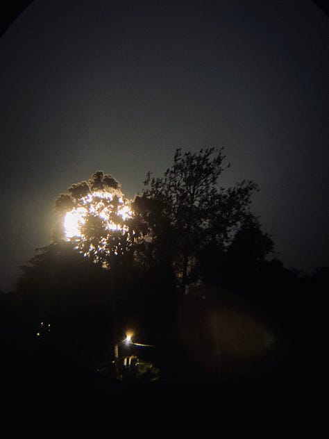 iPhone 11 through Meade Telescope