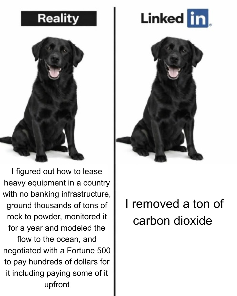 Two identical photos of a black Labrador. Under "Reality": a long paragraph about leasing heavy equipment in a country with no banking infrastructure, grinding thousands of tonnes of rock, monitoring and modelling it for a year, and negotiating with a Fortune 500 company. Under "LinkedIn": "I removed a tonne of carbon dioxide."