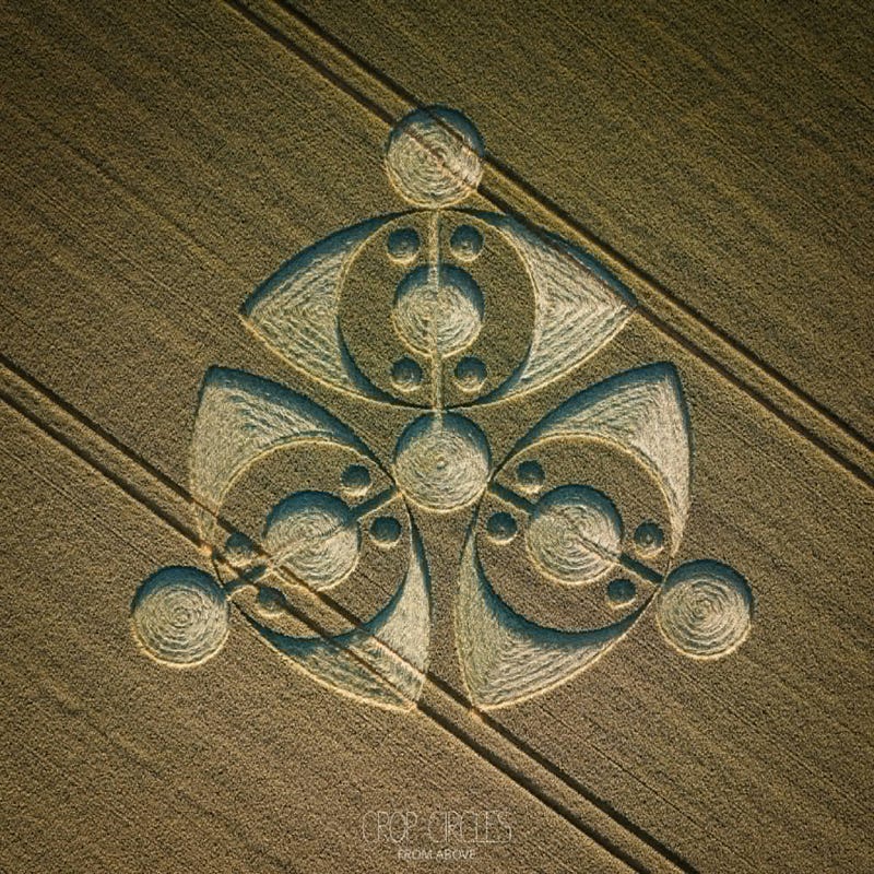 Image Image