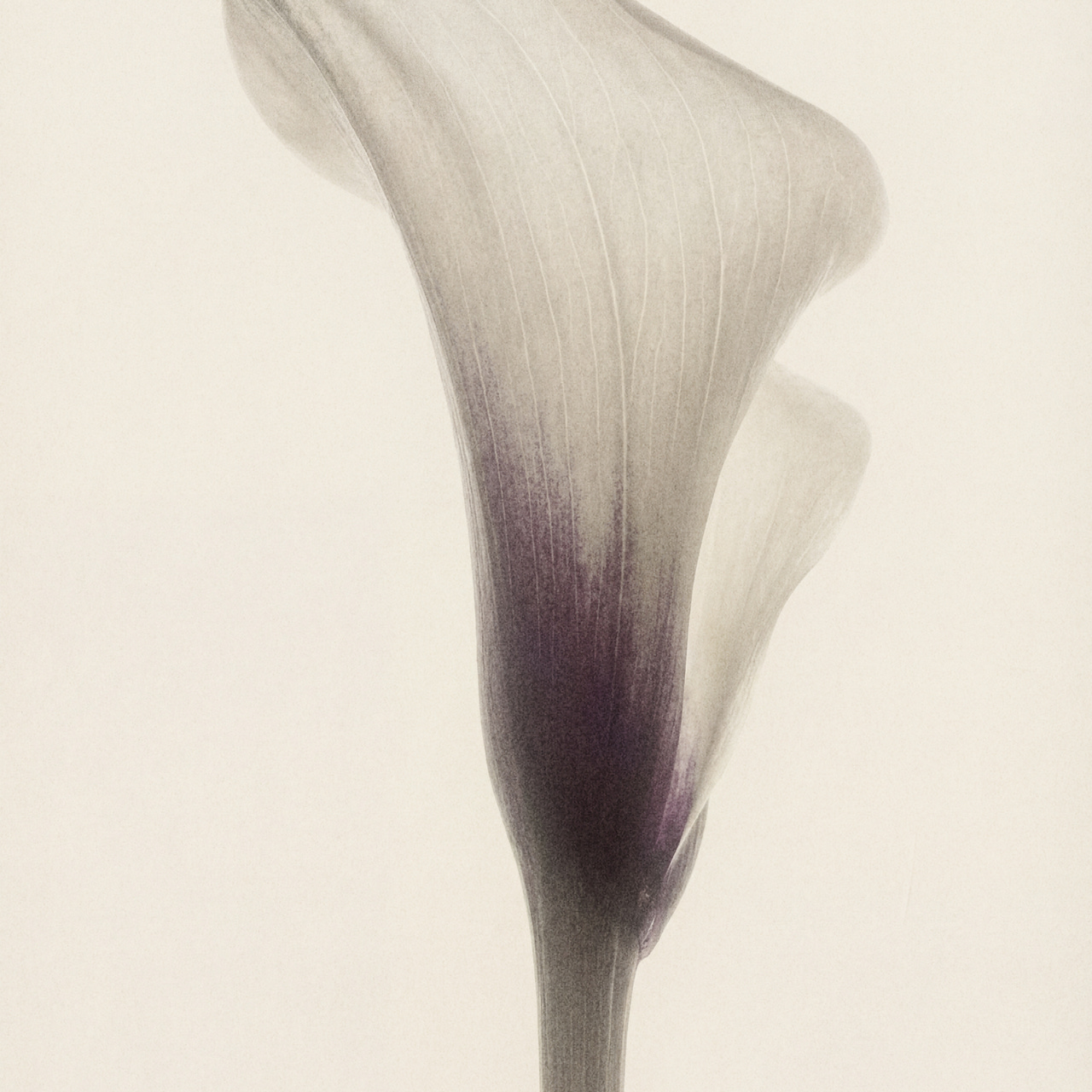 Rich, Rested, Recognised