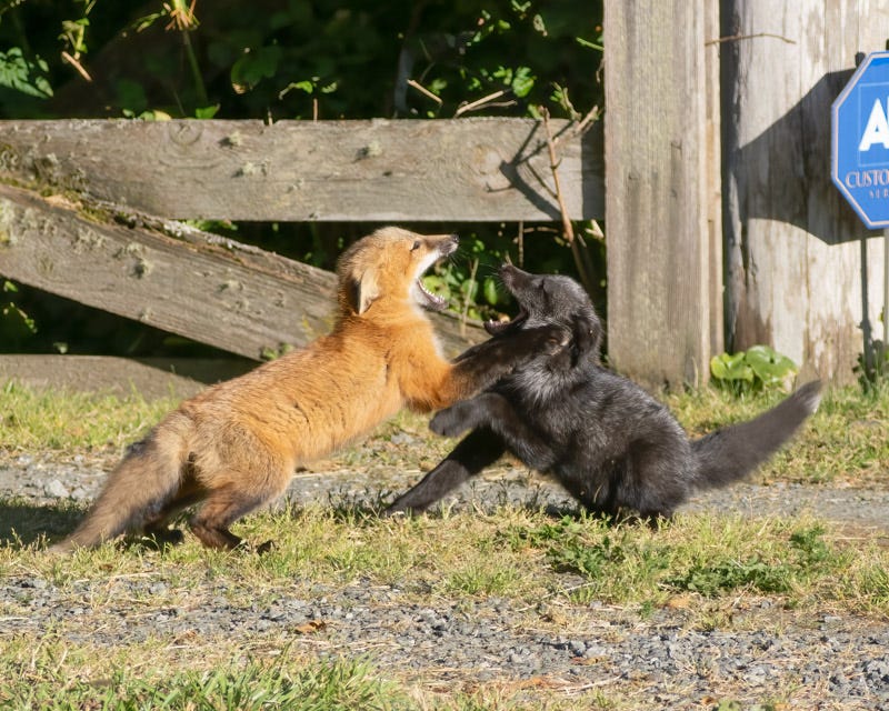 20250610-SJI3-837-Edit.jpg 20250610-SJI3-837-Edit.jpg