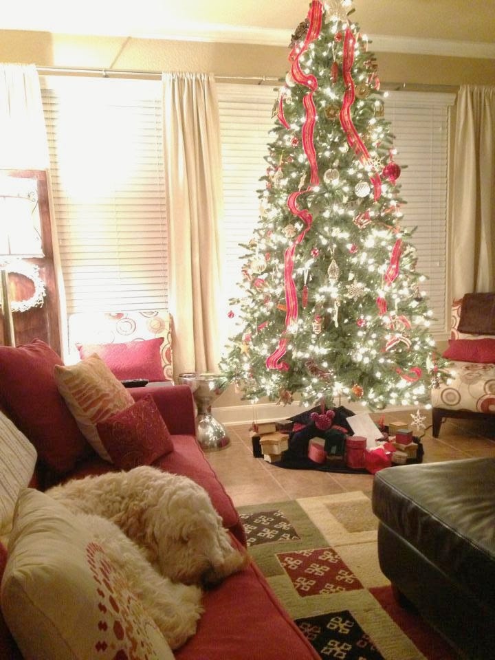A dog sleeping on a couch next to a christmas tree
AI-generated content may be incorrect. A dog sleeping on a couch next to a christmas tree
AI-generated content may be incorrect.