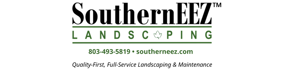 NEW SEP 2025 NEW SEP 2025