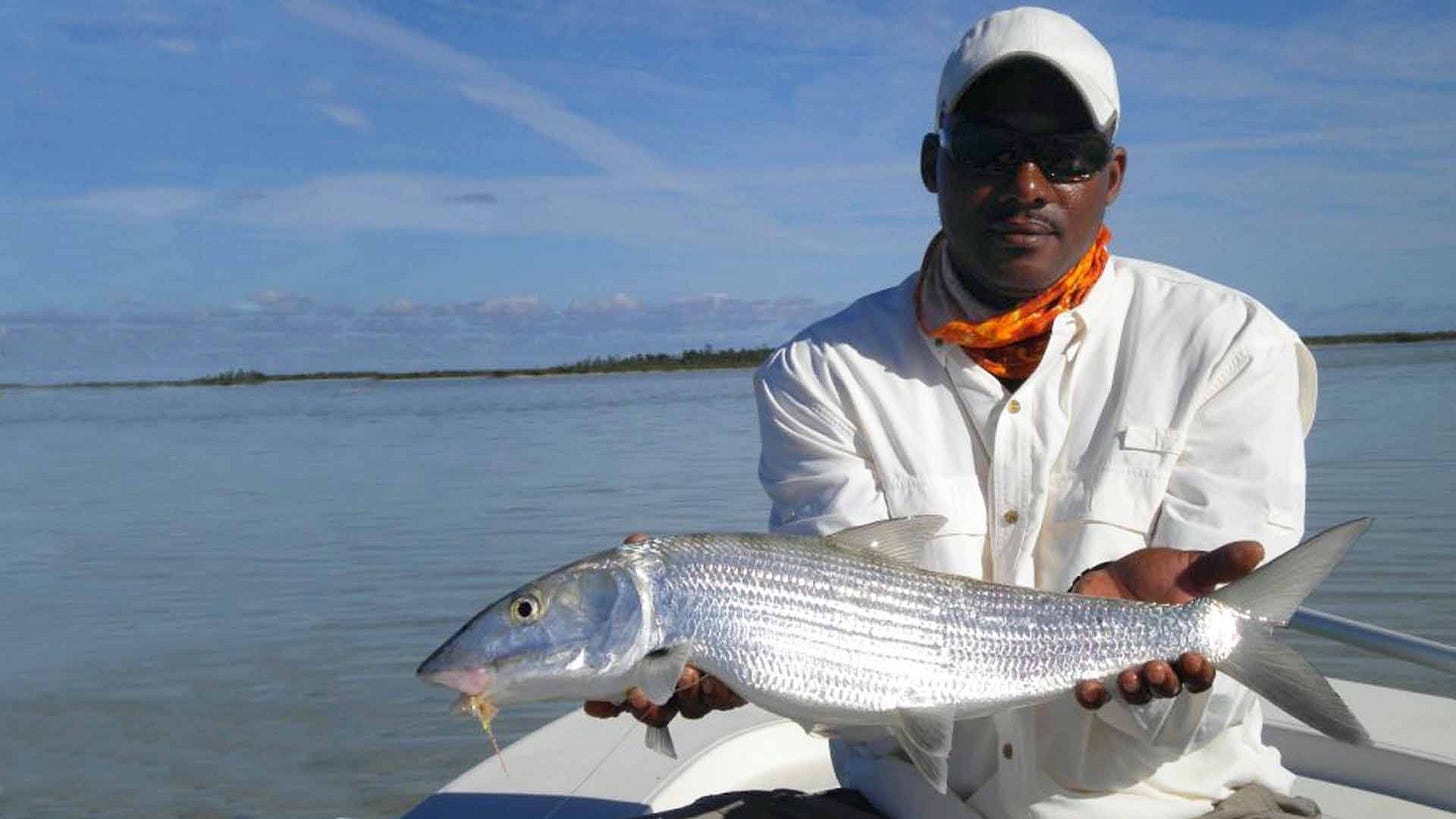 Tarpon Fishing Andros Island Tarpon Fishing