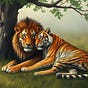 HealthyLiger Essays 