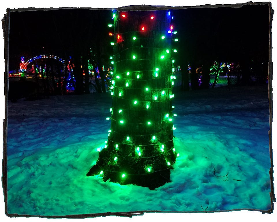 A tree wrapped in green Christmas lights at night and in a mound of snow.