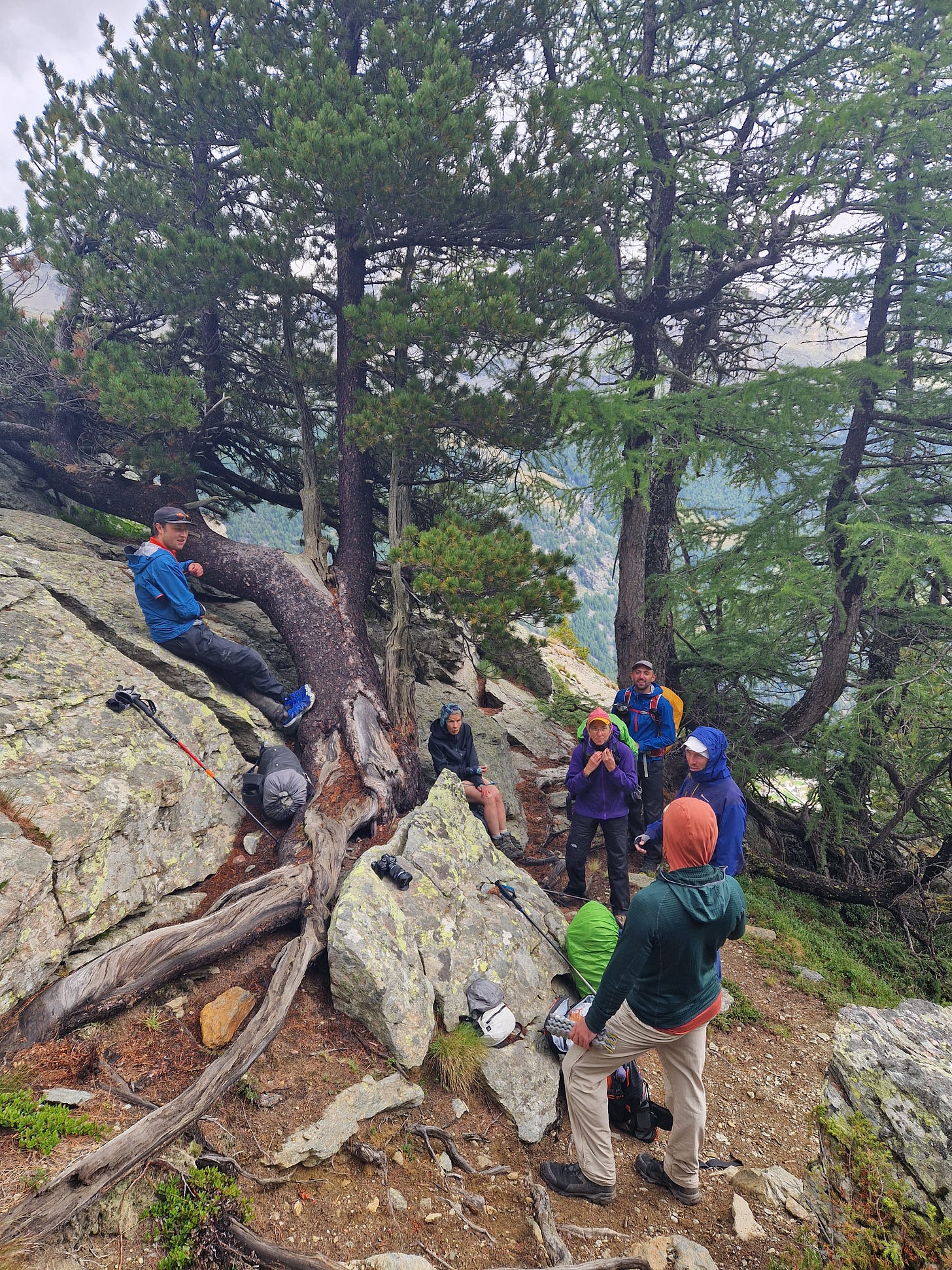 A small group of hikers have a rest in a pine wood A small group of hikers have a rest in a pine wood