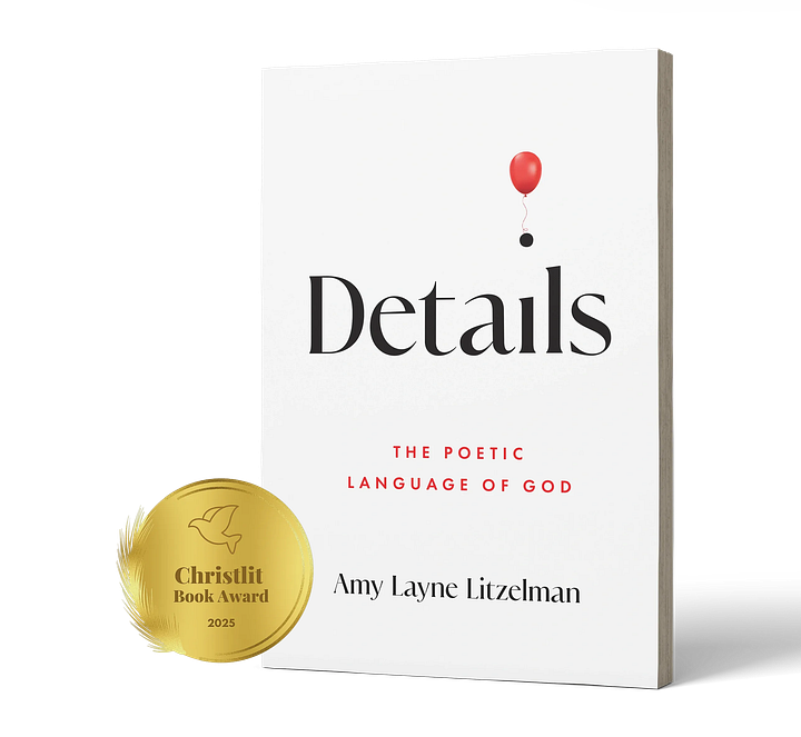 book cover, Details: The Poetic Language of God