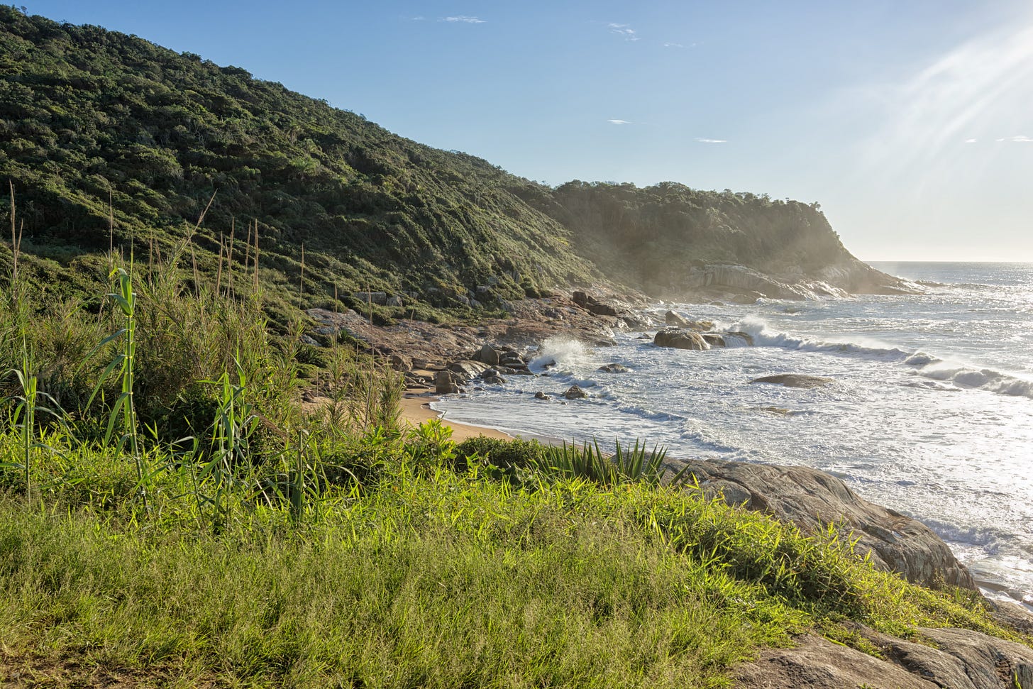 Rocky shoreline and dense green hillside overlooking Praia do Pinho, with waves breaking along the coast under clear morning light.
