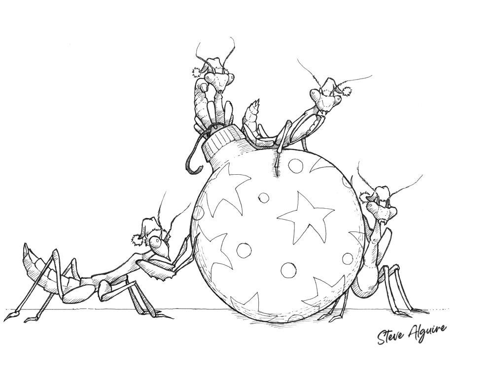 Four tiny Carolina mantises in santa hats perch on and around a Christmas tree ball decoration covered in stars.