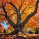 Falling Leaves