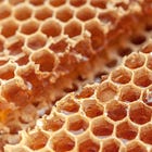 Issue #17 - Discover why XGBoost is that popular