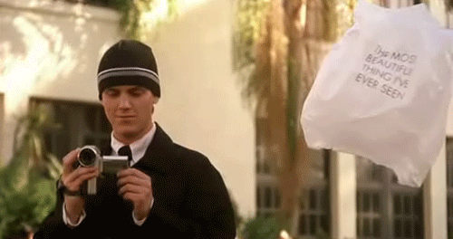 Best A Plastic Bag GIFs | Gfycat