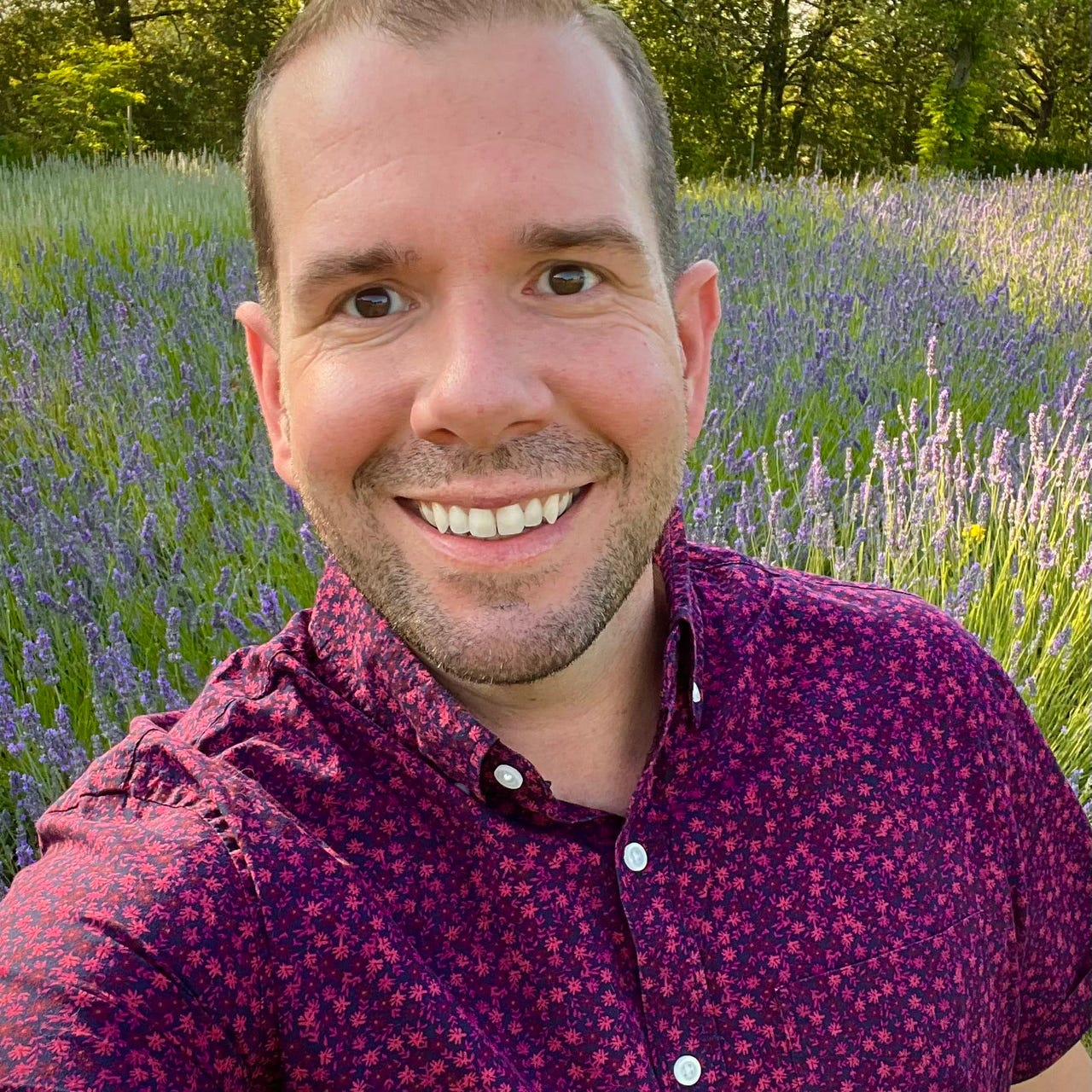 Paint and Paper logo