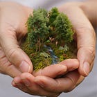 Gratitude That Lives in the Body, Not Just the Mind