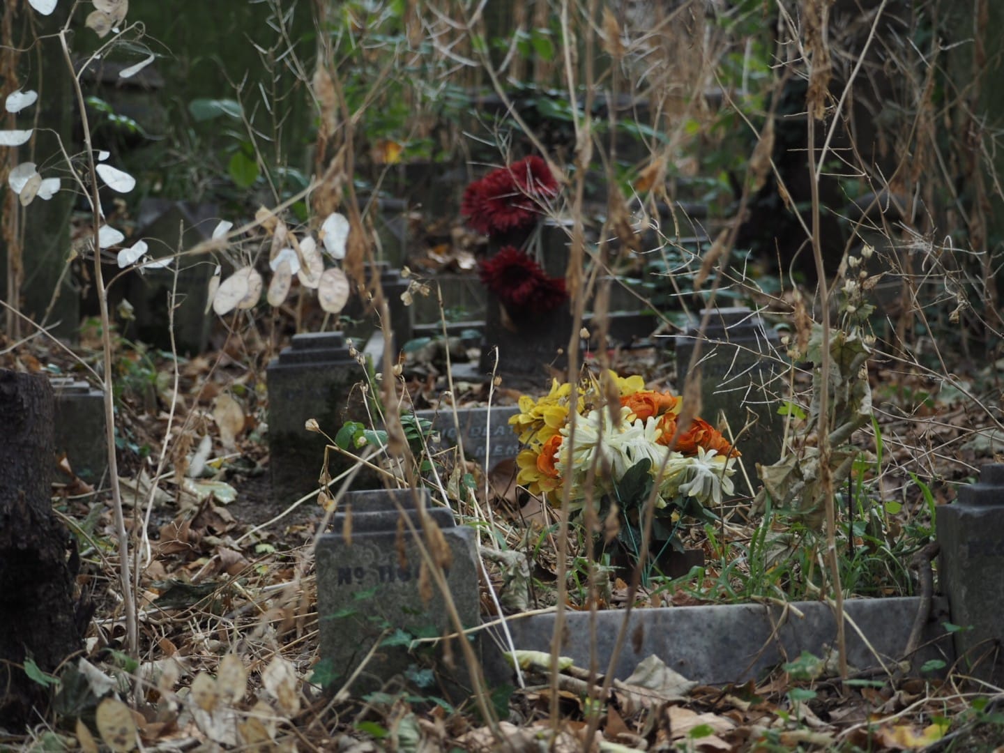 Tower Hamlets Cemetery Park