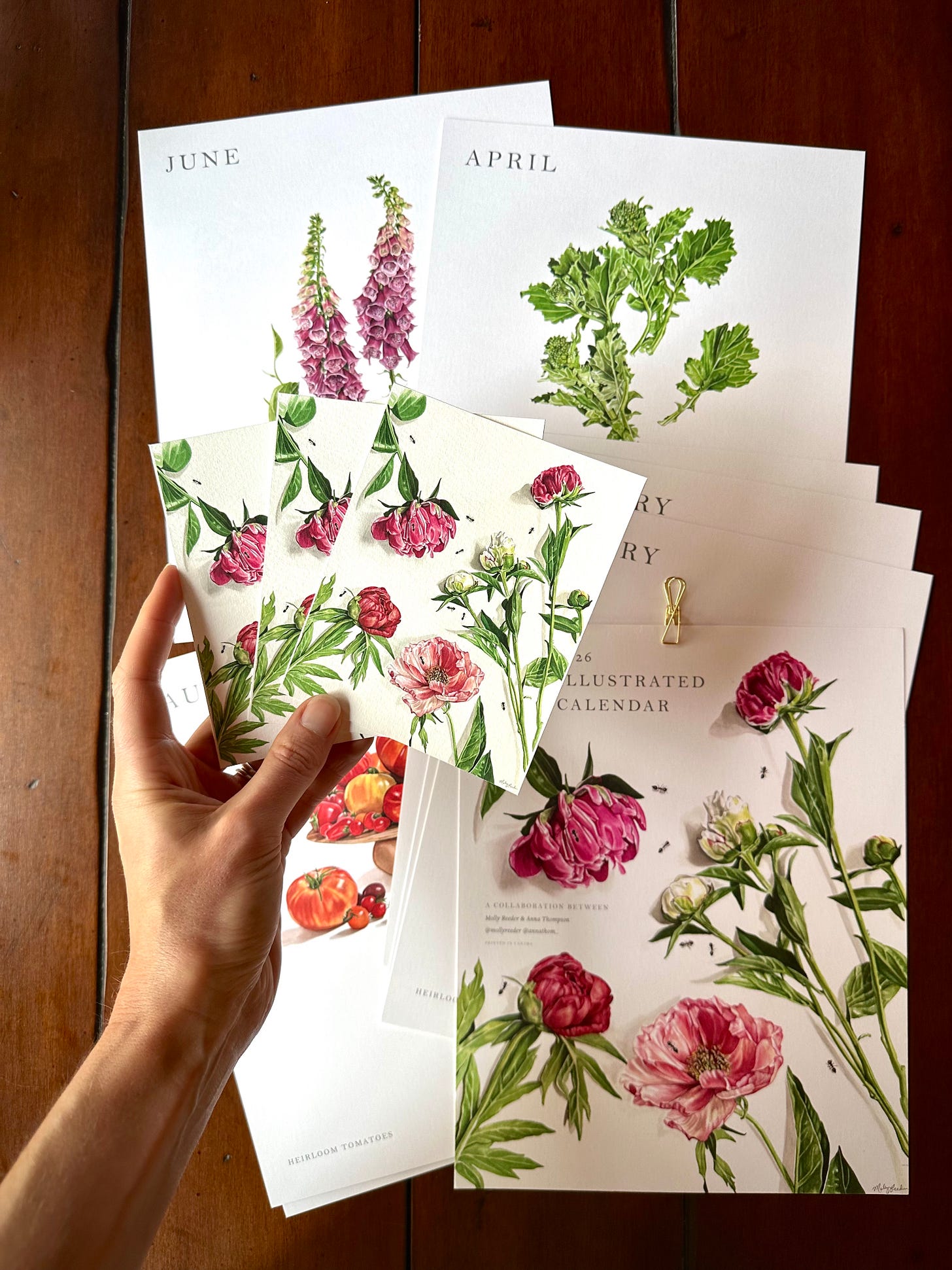 A hand holds up small prints of peony paintings over a calendar spread out on a wooden background