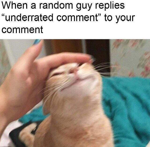 When a random guy replies underrated comment to your comment - Meme by  MemeLust :) Memedroid