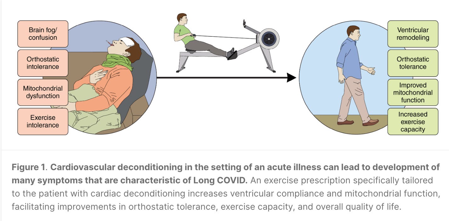 Long COVID and Exercise Intolerance