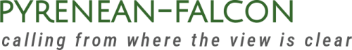 pyrenean-falcon