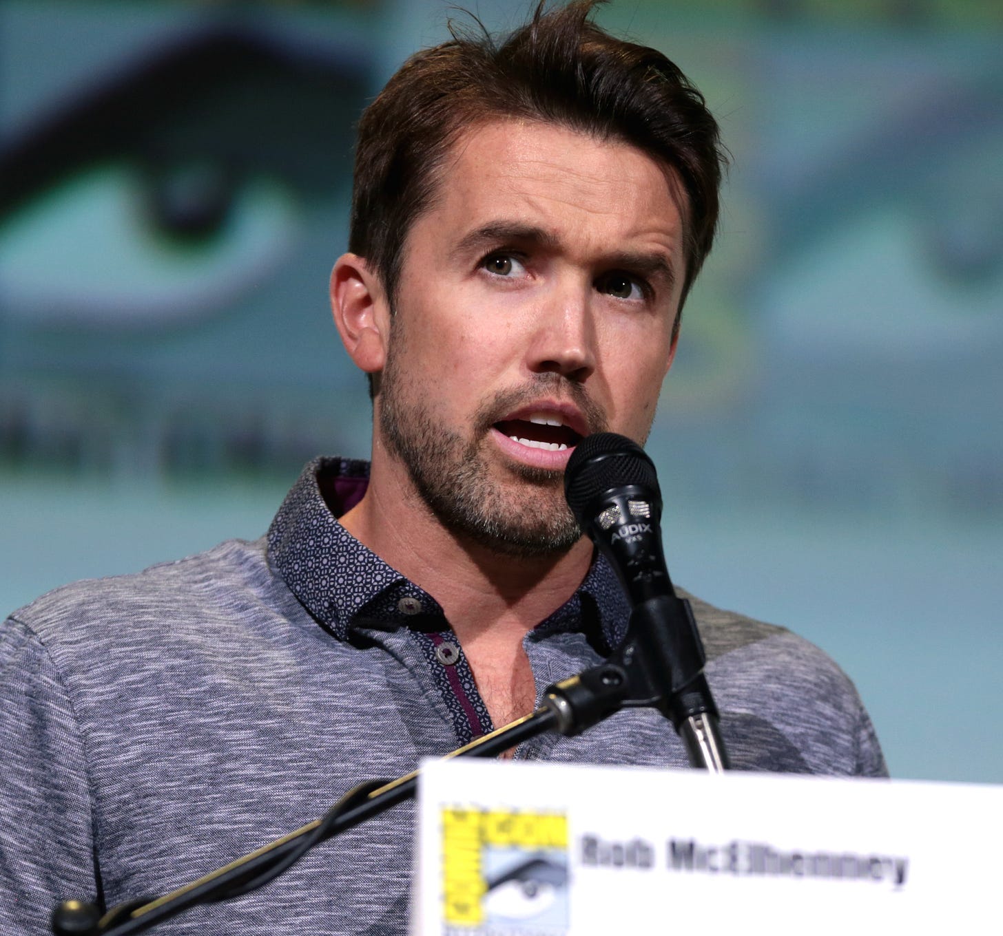 Rob McElhenney - Wikipedia