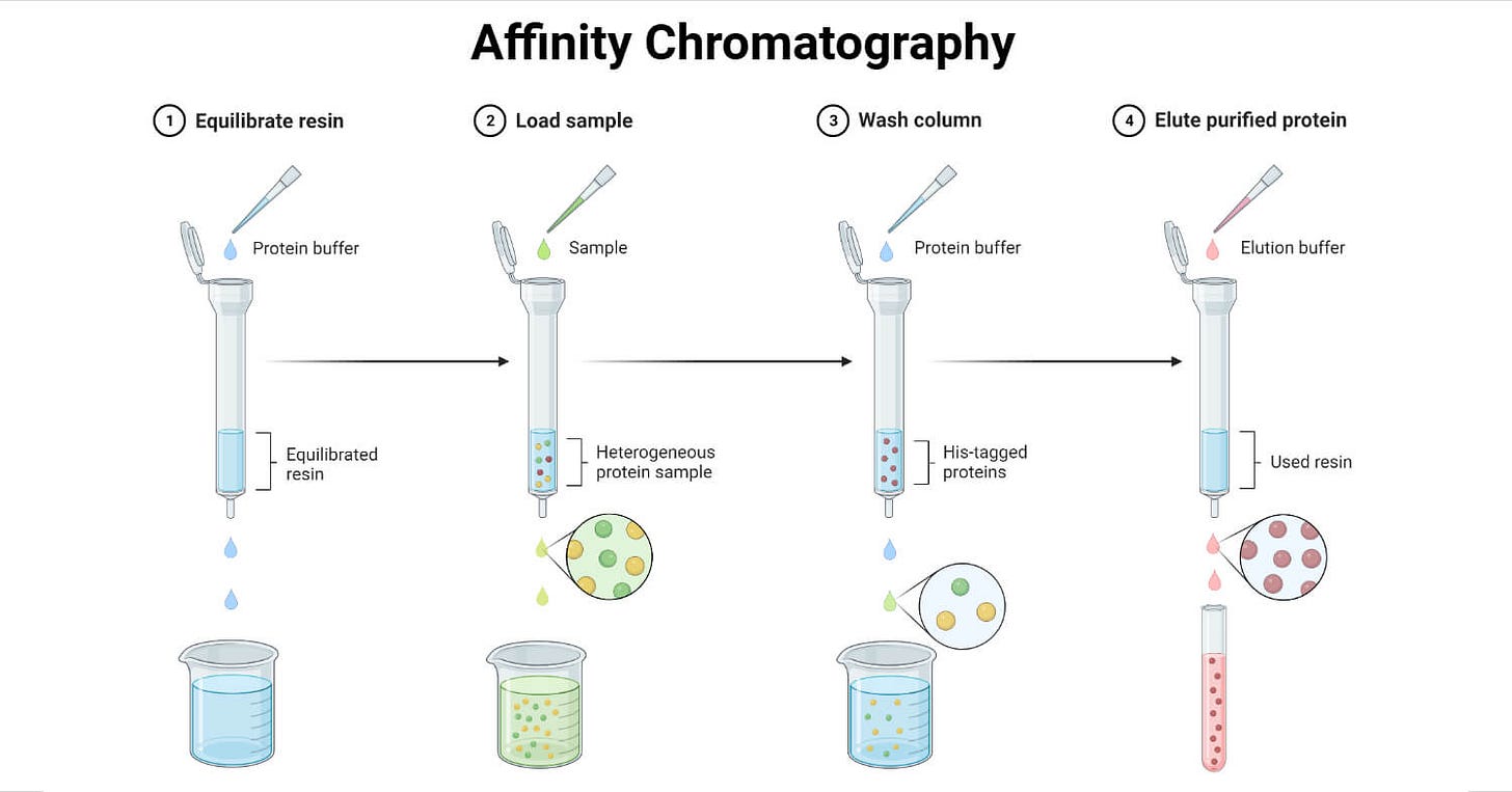 Affinity Chromatography