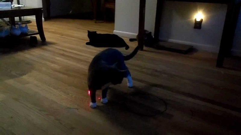 FroliCat BOLT Interactive Laser FroliCat BOLT Interactive Laser