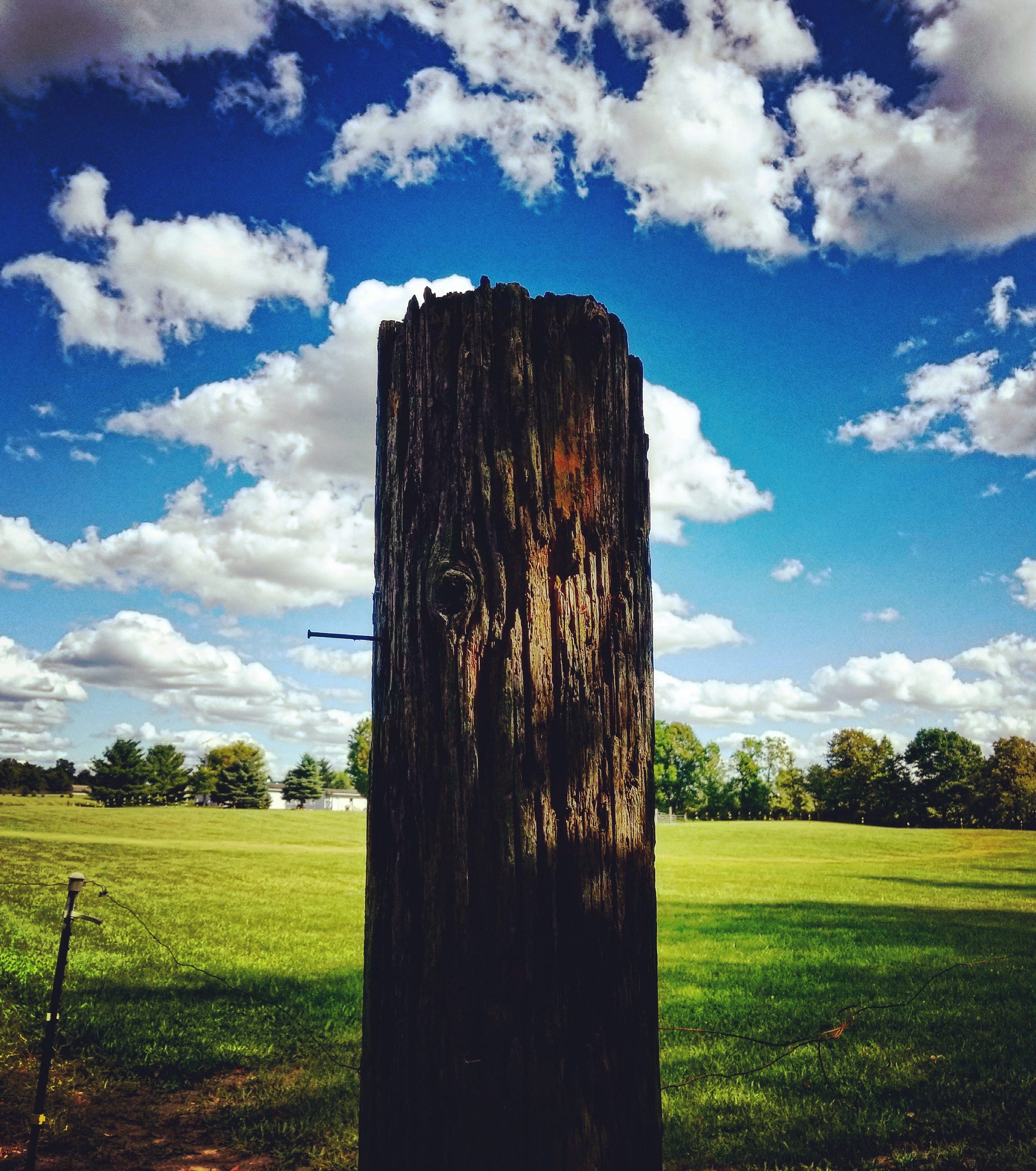 The Nail, the Tree and the Sky - Image by Shawn R. Metivier, 2021