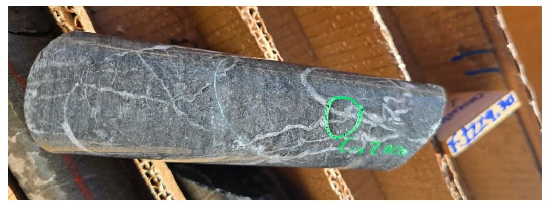 Dark drill core with pale veining and a green-circled mineralised spot marked on the surface.